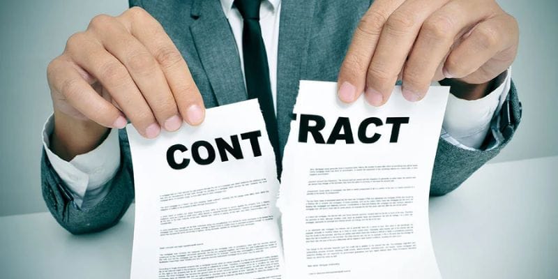 Chính sách miễn trừ trách nhiệm tổng hợp rất nhiều nội dung quan trọng bạn nên biết