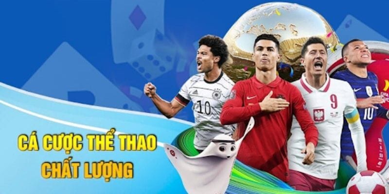 Sân chơi sở hữu nhiều ưu điểm nổi bật